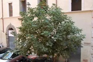Fico Apartment *